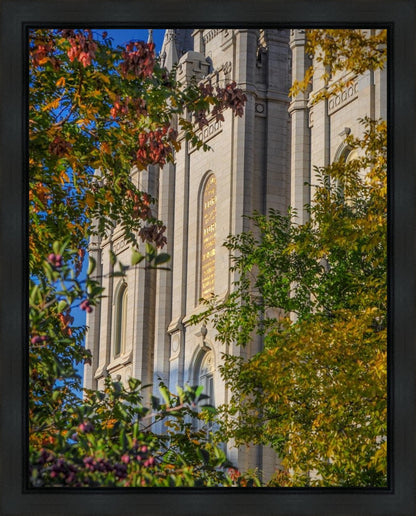 Salt Lake City Temple His Declaration Gallery Wrap