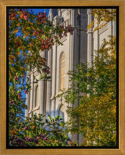 Salt Lake City Temple His Declaration Gallery Wrap