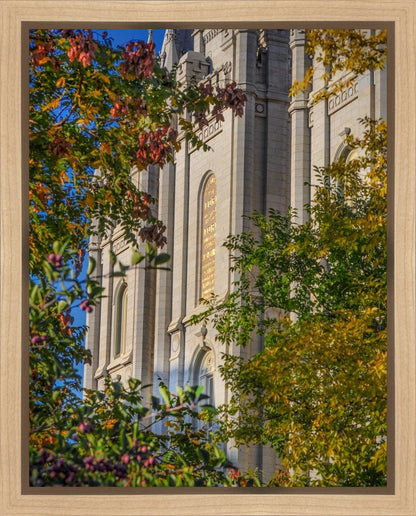 Salt Lake City Temple His Declaration Gallery Wrap