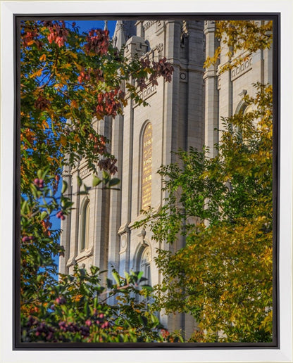 Salt Lake City Temple His Declaration Gallery Wrap