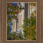 Salt Lake City Temple His Declaration
