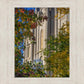 Salt Lake City Temple His Declaration