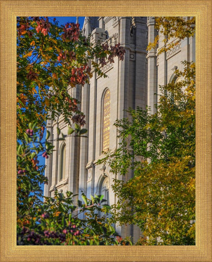 Salt Lake City Temple His Declaration
