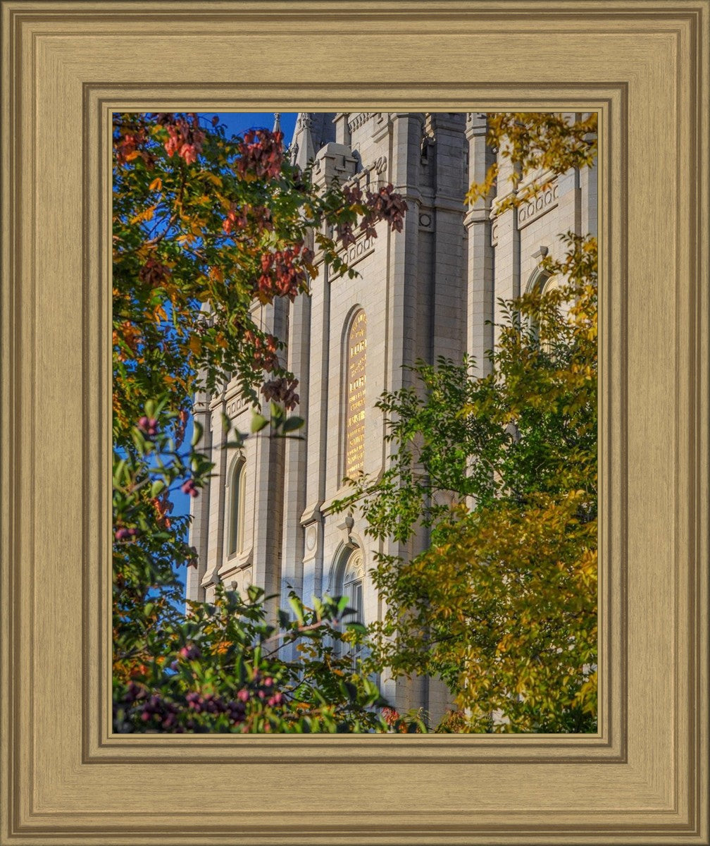 Salt Lake City Temple His Declaration