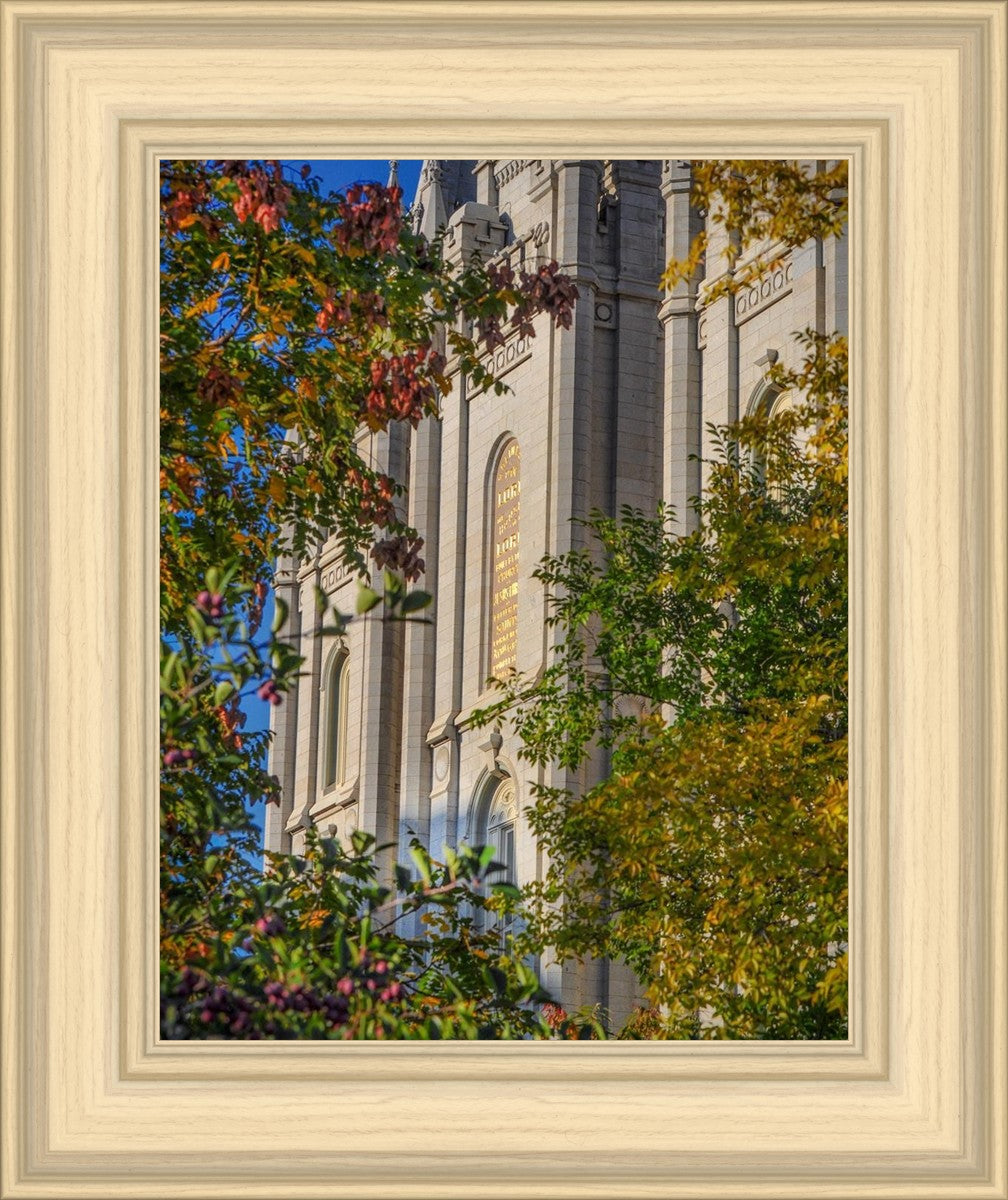 Salt Lake City Temple His Declaration