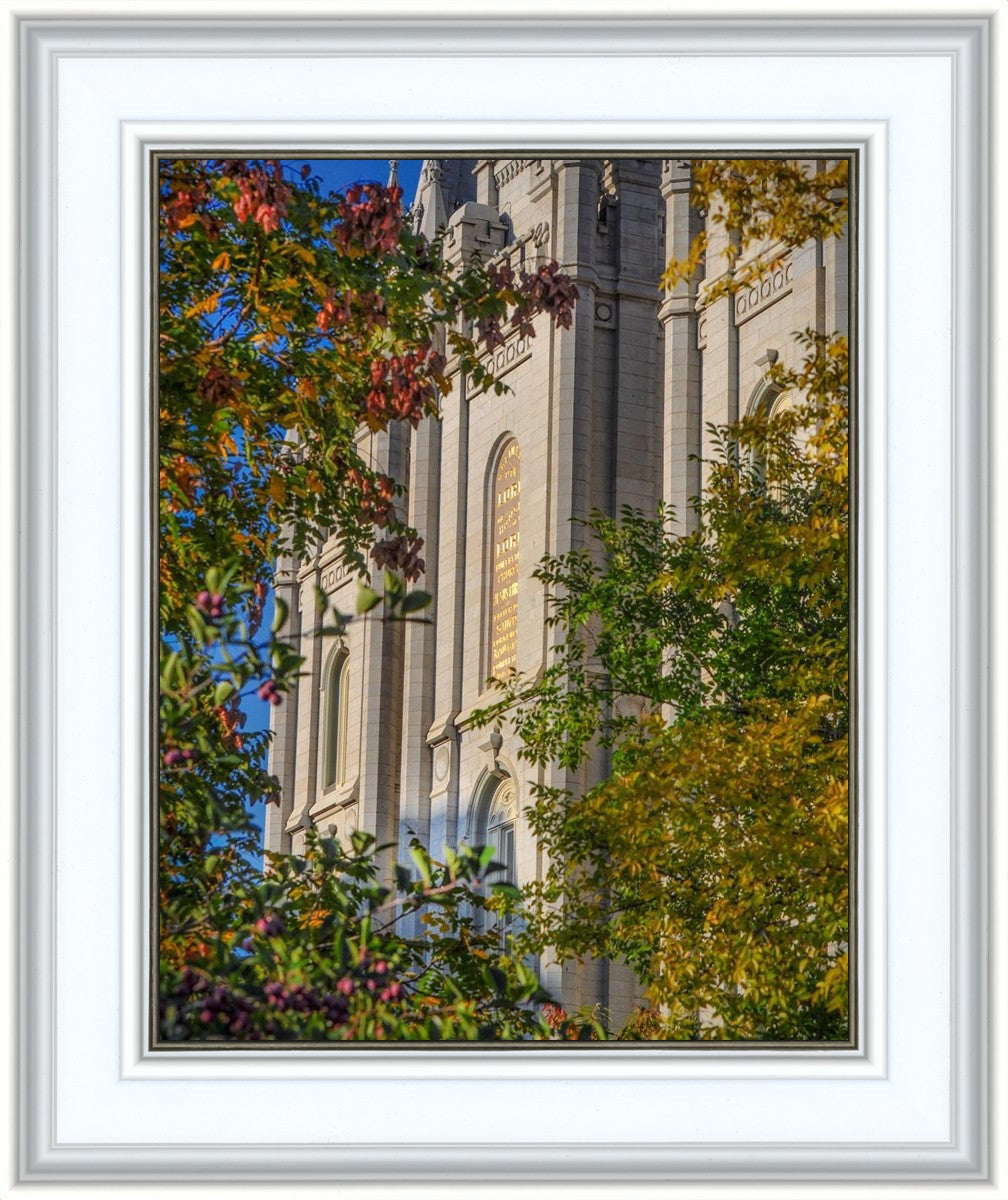 Salt Lake City Temple His Declaration