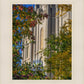 Salt Lake City Temple His Declaration