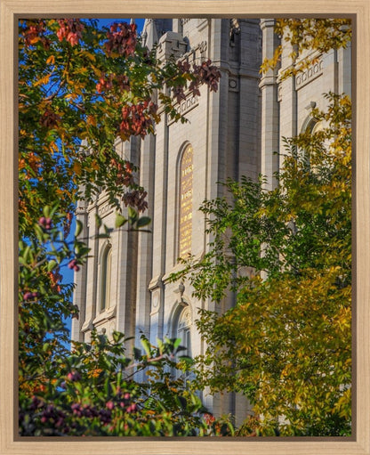 Salt Lake City Temple His Declaration Gallery Wrap