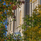 Salt Lake City Temple His Declaration