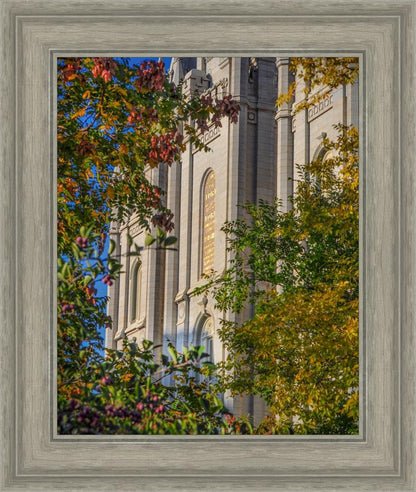 Salt Lake City Temple His Declaration