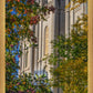 Salt Lake City Temple His Declaration