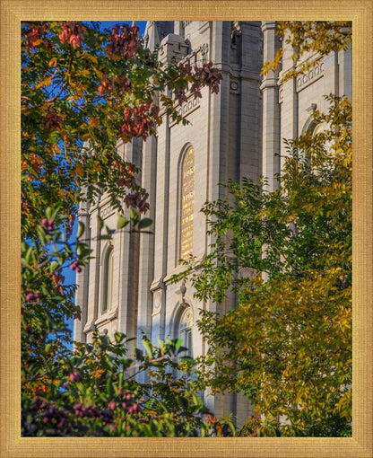 Salt Lake City Temple His Declaration