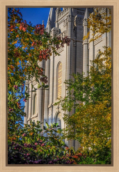 Salt Lake City Temple His Declaration Gallery Wrap