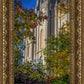 Salt Lake City Temple His Declaration