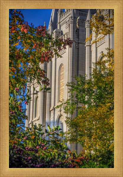 Salt Lake City Temple His Declaration