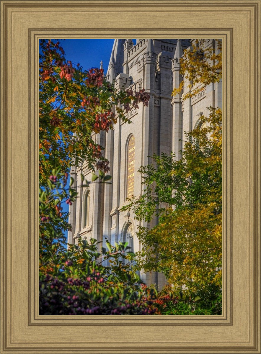 Salt Lake City Temple His Declaration