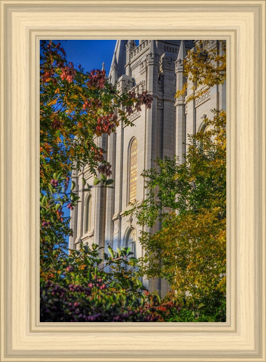 Salt Lake City Temple His Declaration