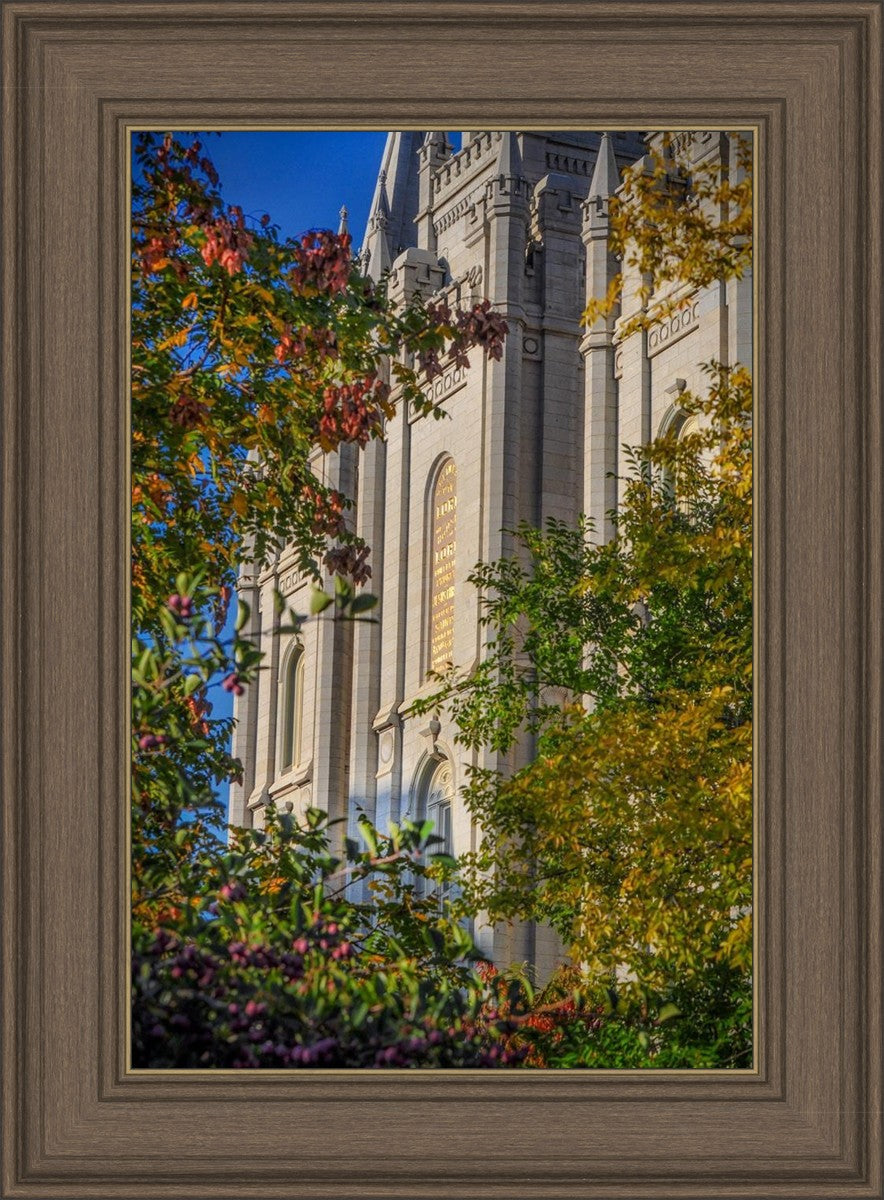 Salt Lake City Temple His Declaration