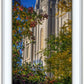 Salt Lake City Temple His Declaration