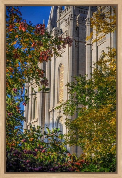 Salt Lake City Temple His Declaration Gallery Wrap