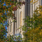 Salt Lake City Temple His Declaration