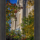Salt Lake City Temple His Declaration