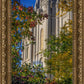 Salt Lake City Temple His Declaration