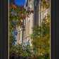 Salt Lake City Temple His Declaration
