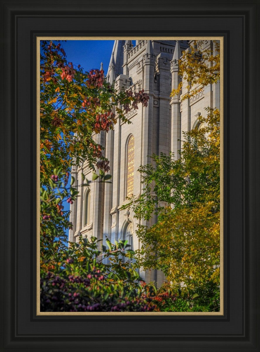 Salt Lake City Temple His Declaration
