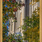 Salt Lake City Temple His Declaration
