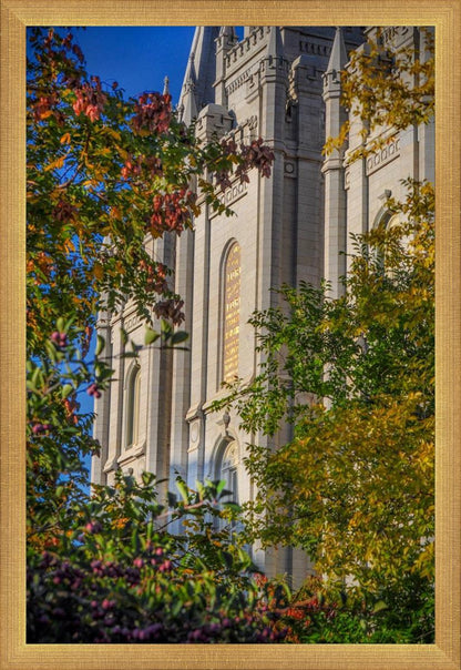 Salt Lake City Temple His Declaration