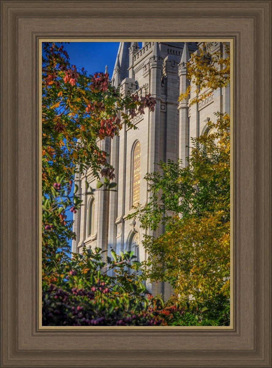 Salt Lake City Temple His Declaration