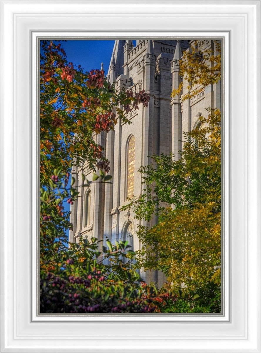 Salt Lake City Temple His Declaration