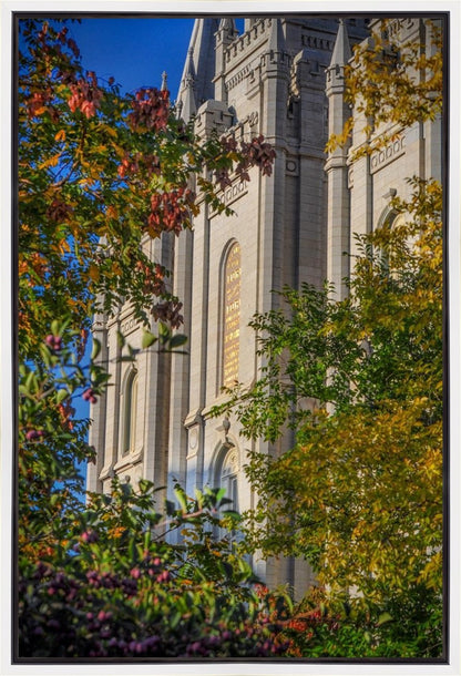 Salt Lake City Temple His Declaration Gallery Wrap