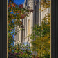 Salt Lake City Temple His Declaration
