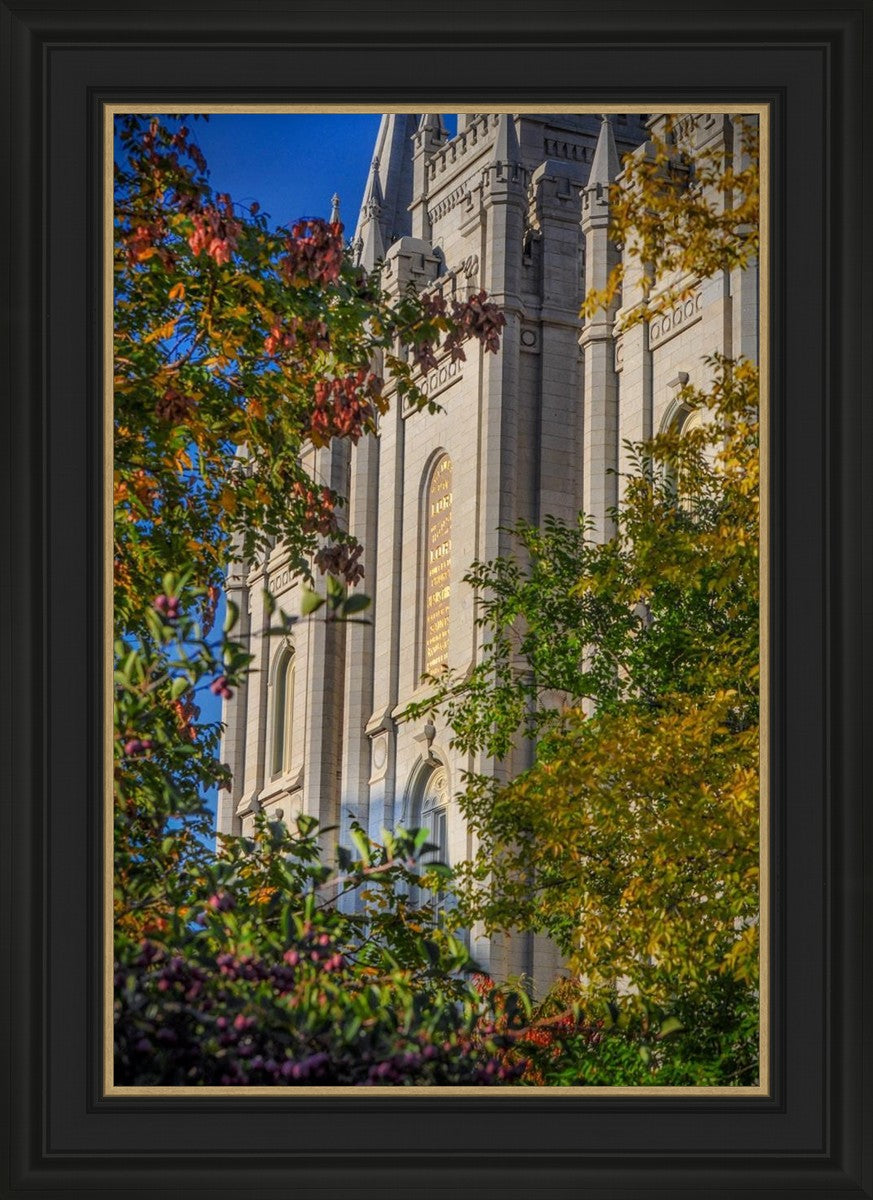 Salt Lake City Temple His Declaration
