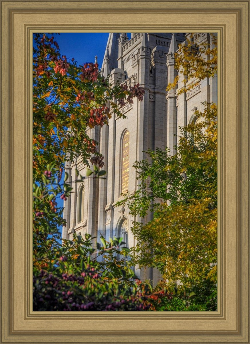 Salt Lake City Temple His Declaration