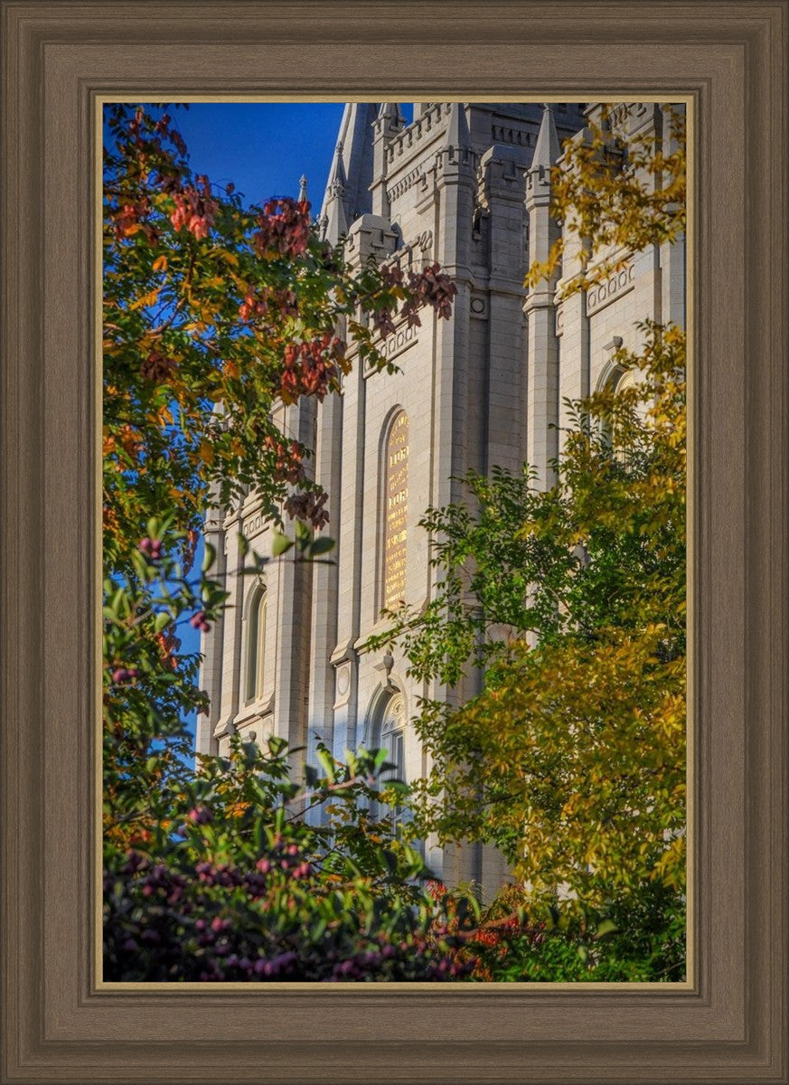 Salt Lake City Temple His Declaration