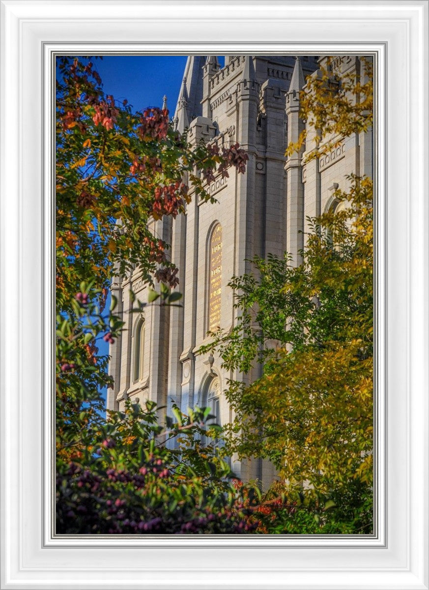 Salt Lake City Temple His Declaration