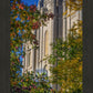 Salt Lake City Temple His Declaration