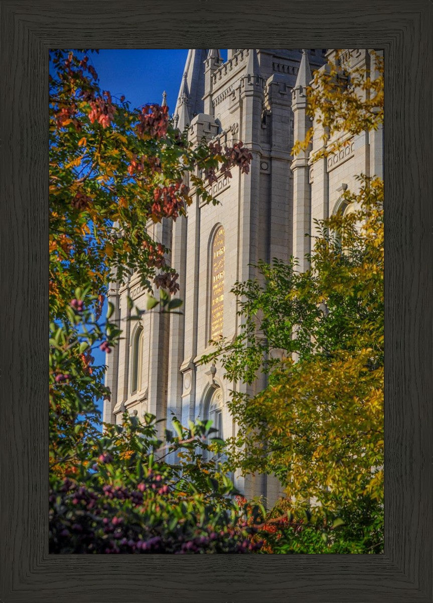 Salt Lake City Temple His Declaration
