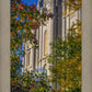 Salt Lake City Temple His Declaration