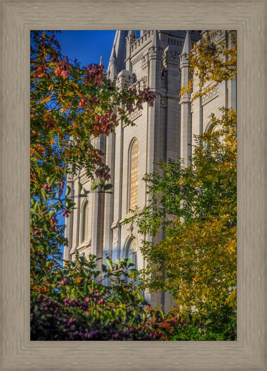 Salt Lake City Temple His Declaration