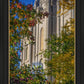 Salt Lake City Temple His Declaration