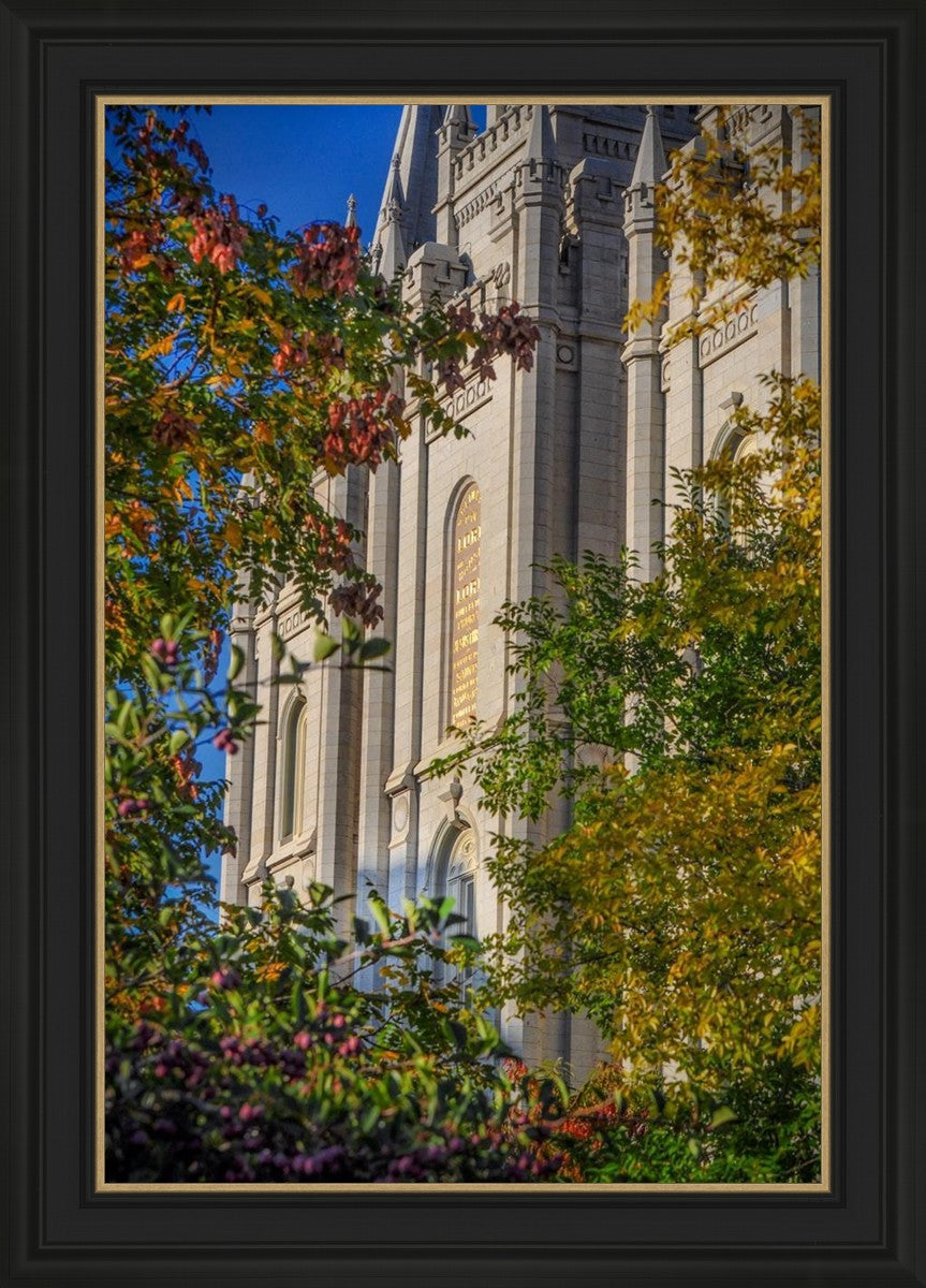 Salt Lake City Temple His Declaration
