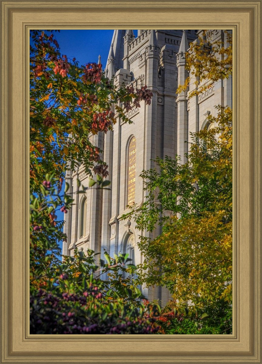 Salt Lake City Temple His Declaration