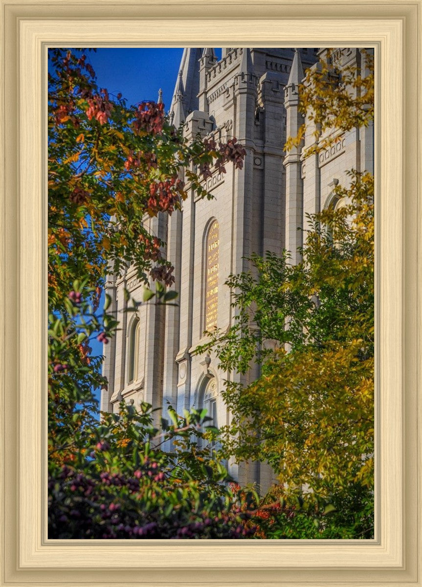 Salt Lake City Temple His Declaration