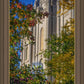 Salt Lake City Temple His Declaration