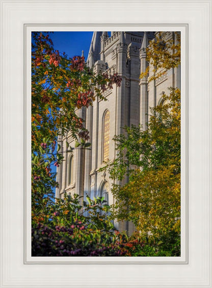 Salt Lake City Temple His Declaration