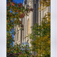 Salt Lake City Temple His Declaration